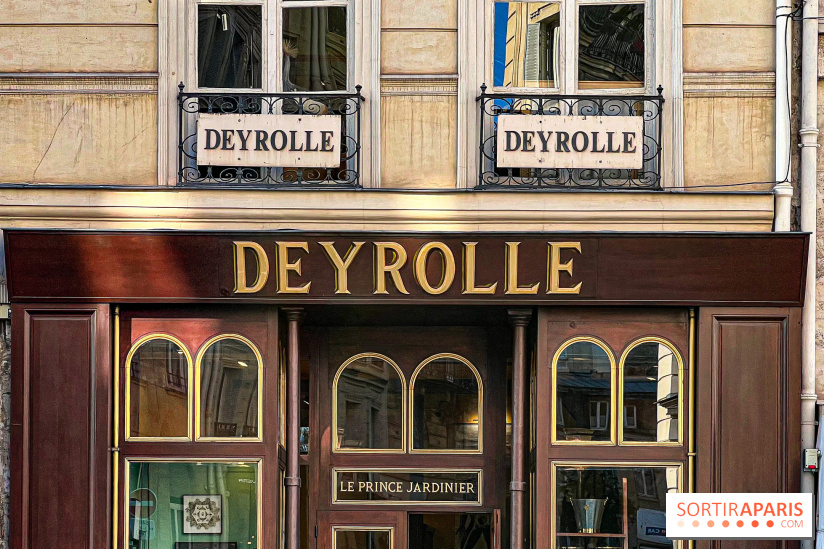 Johnny Depp dévoile une œuvre à découvrir gratuitement dans un cabinet de curiosités parisien - image00003