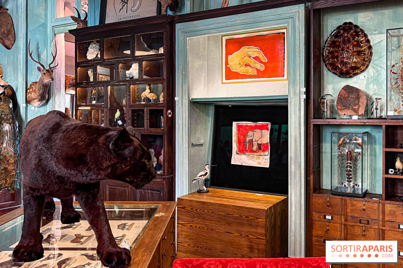 Johnny Depp dévoile une œuvre à découvrir gratuitement dans un cabinet de curiosités parisien - image00008