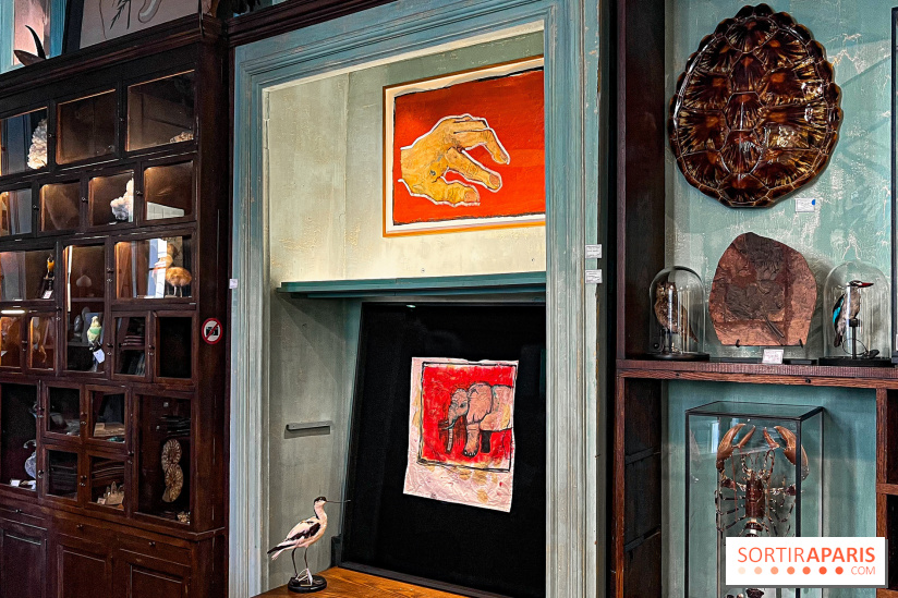 L'exposition gratuite des œuvres de Johnny Depp dans un cabinet de curiosités parisien - image00034