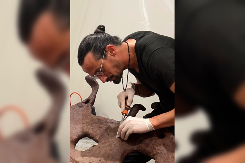 Printemps Canopee Kristaline - CANOPEE LARMES 7  GAEL CLAVIERE @DR