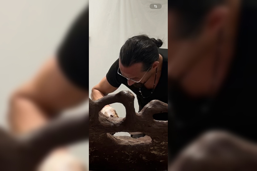 Printemps Canopee Kristaline - IMG 9307