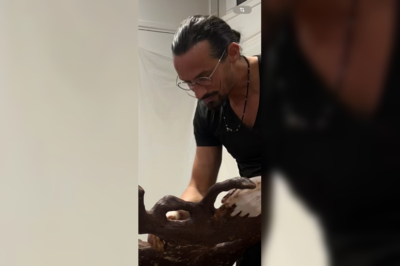 Printemps Canopee Kristaline - IMG 9308