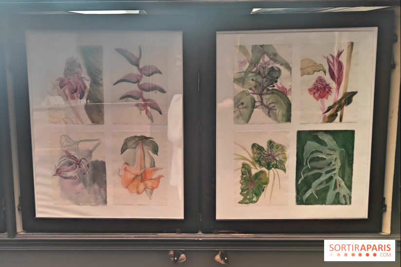 Des Chimères : l'exposition mystique à découvrir au musée Gustave Moreau, nos photos - fotor 1743190945332