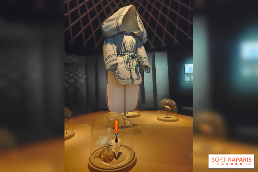Déserts : l'exposition scientifique se dévoile au Muséum d'Histoire naturelle de Paris