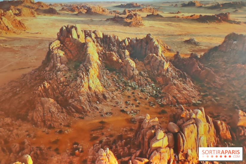 Déserts : l'exposition scientifique se dévoile au Muséum d'Histoire naturelle de Paris