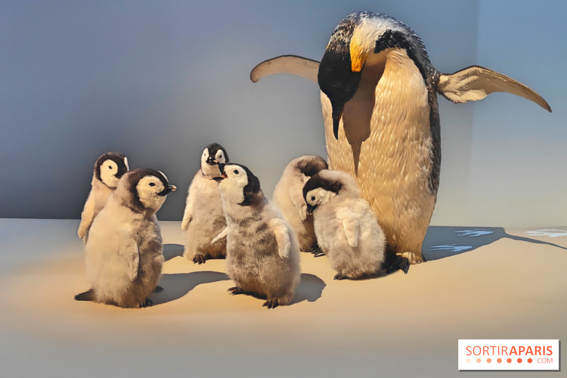 Déserts : l'exposition scientifique se dévoile au Muséum d'Histoire naturelle de Paris - fotor 1743502115937