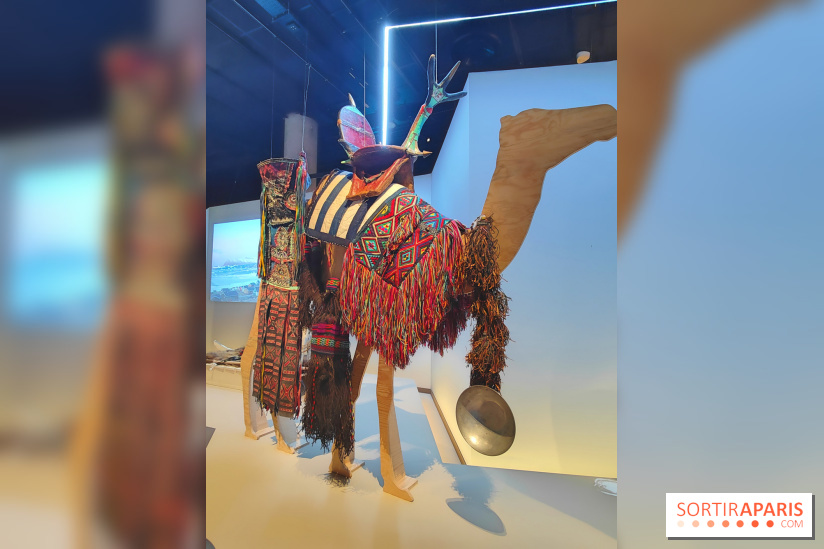 Déserts : l'exposition scientifique se dévoile au Muséum d'Histoire naturelle de Paris