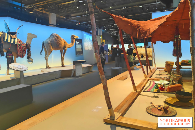 Déserts : l'exposition scientifique se dévoile au Muséum d'Histoire naturelle de Paris
