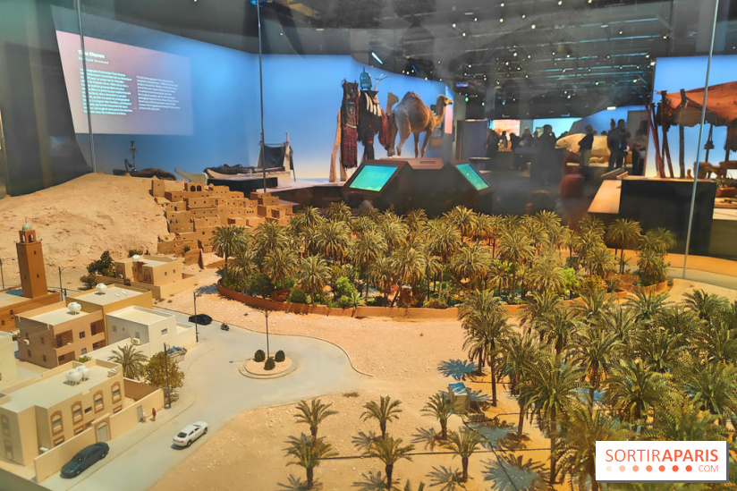 Déserts : l'exposition scientifique se dévoile au Muséum d'Histoire naturelle de Paris - fotor 1743501930535