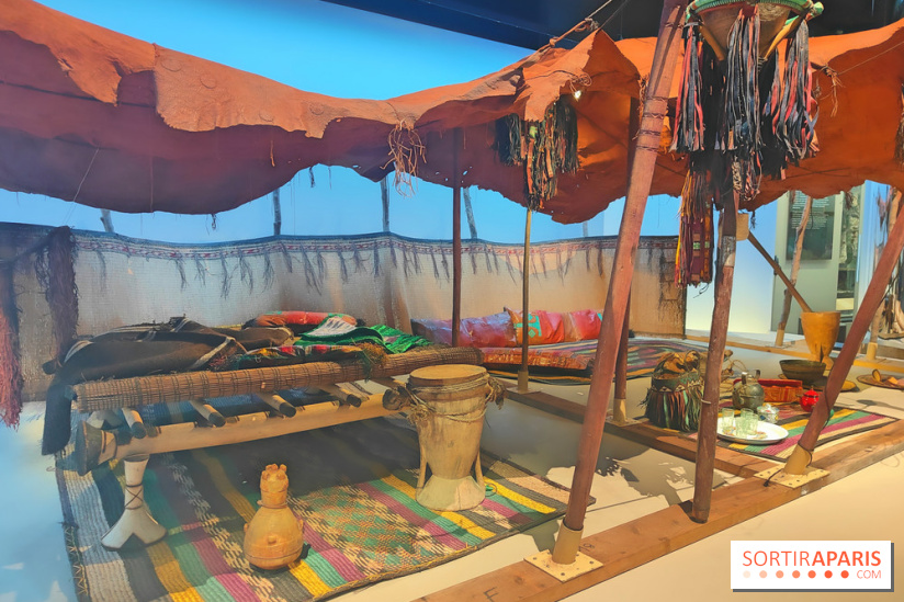 Déserts : l'exposition scientifique se dévoile au Muséum d'Histoire naturelle de Paris - fotor 1743501849642