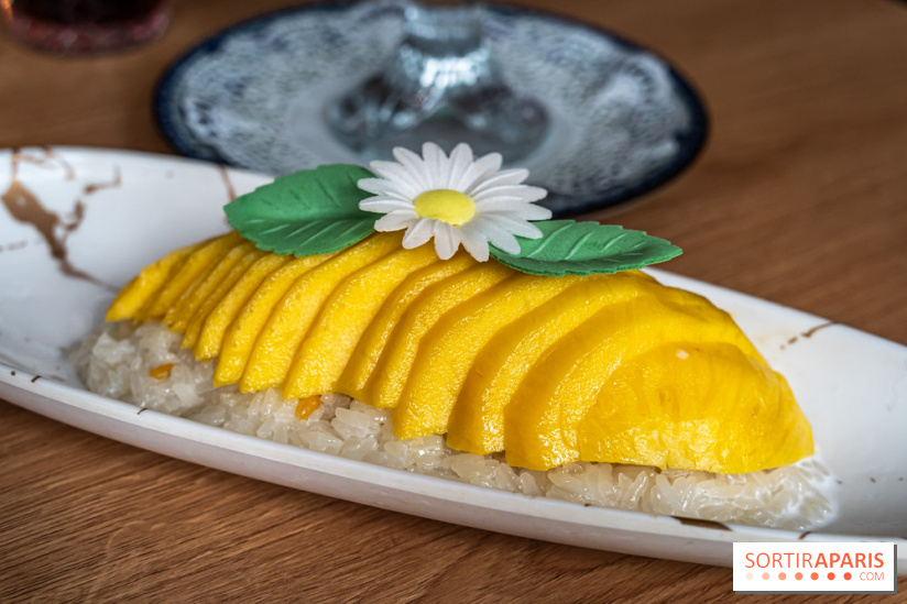 Buja restaurant végétarien thaï et Viet Paris 13e - photos - Mango sticky rice