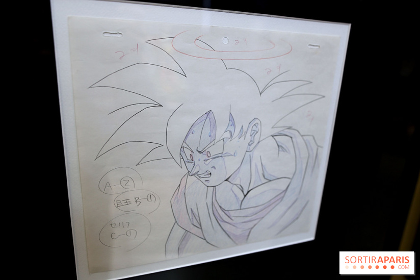 Rêves de Japon, nos photos de l'exposition à voir à Rueil-Malmaison - Rêves de Japon 19 fotor 20250401193842