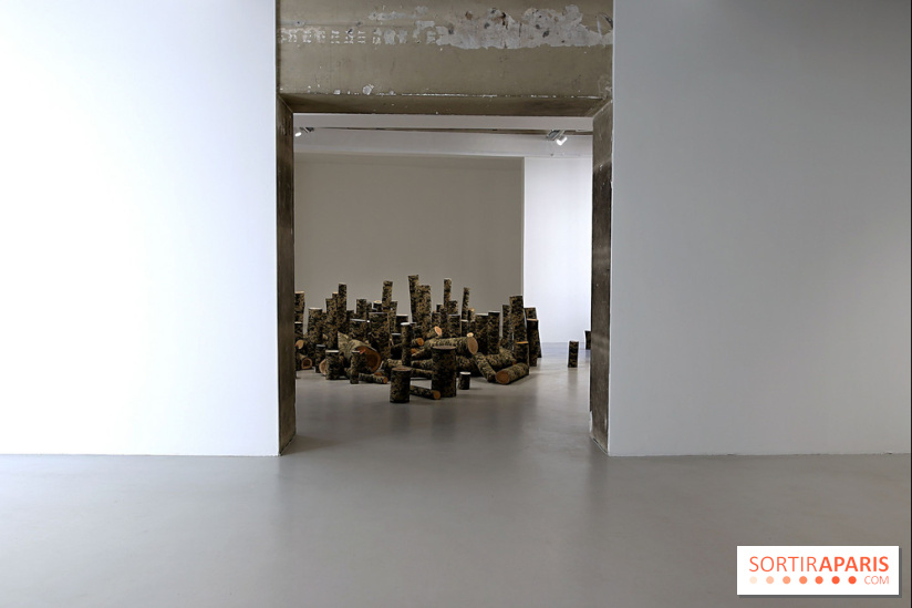 Osvaldo González et Zhanna Kadyrova à la Galleria Continua, nos photos - Galleria Continua 4 fotor 20250401191733