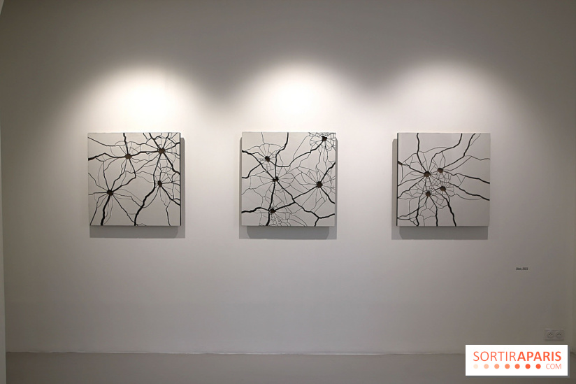 Osvaldo González et Zhanna Kadyrova à la Galleria Continua, nos photos - Galleria Continua 9 fotor 20250401191648