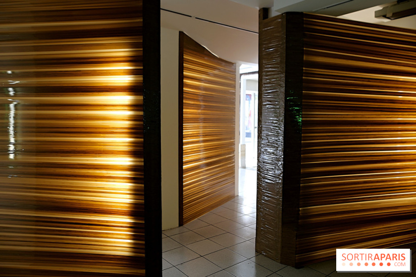 Osvaldo González et Zhanna Kadyrova à la Galleria Continua, nos photos - Galleria Continua 19 fotor 2025040119921