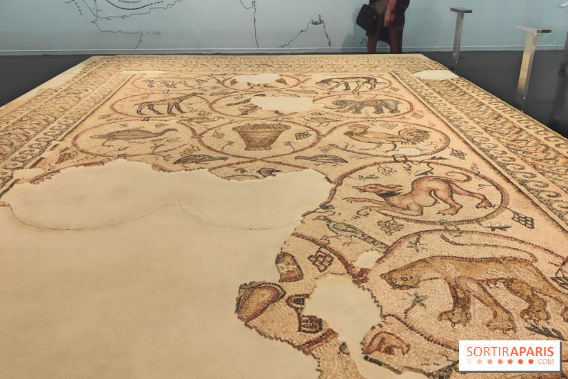 Trésors sauvés de Gaza : l'histoire de Gaza exposée à travers des vestiges archéologiques à l'IMA  - fotor 1743592302918