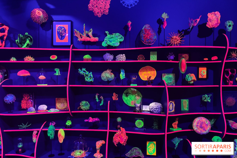 Digital Abysses au musée en Herbe - nos photos - 0129F15A 5778 46C1 BB45 E8B6ED6C3104