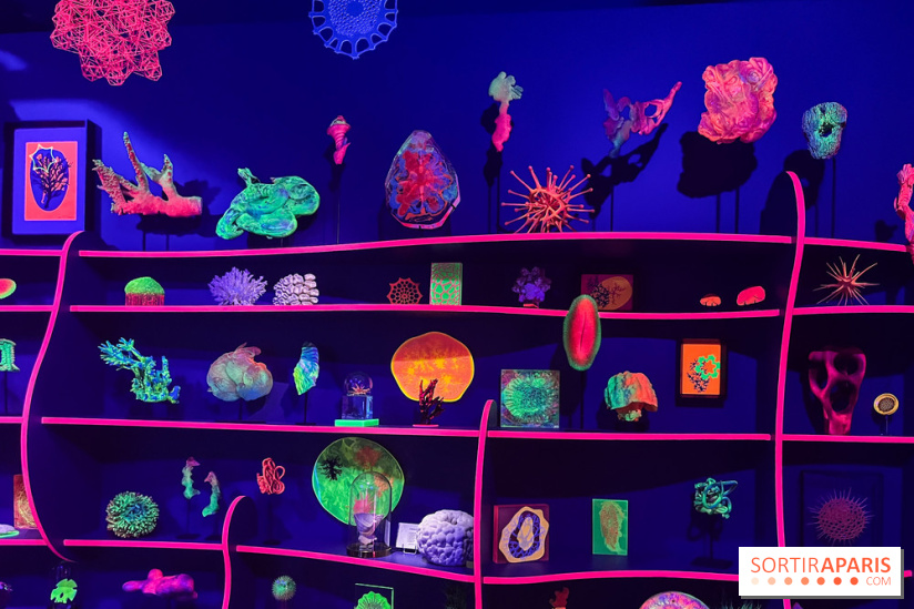 Digital Abysses au musée en Herbe - nos photos - 15690B68 4949 4539 BC96 936B6E5F3B2B