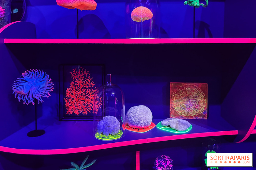 Digital Abysses au musée en Herbe - nos photos - E6BCA310 565F 4759 9D61 097FAD60F57B