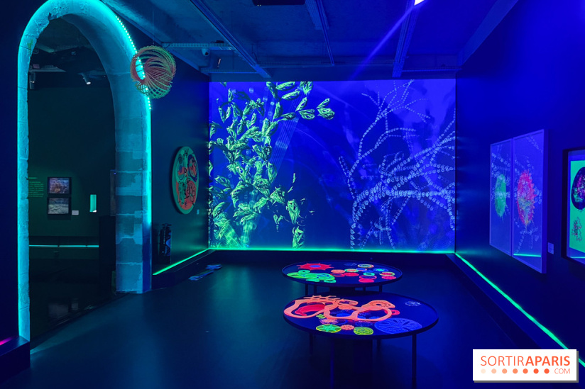 Digital Abysses au musée en Herbe - nos photos - 8F23999D 18C5 4CB3 8088 2779B3961DD3