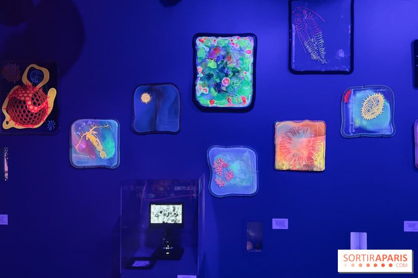 Digital Abysses au musée en Herbe - nos photos - 918D081E 61B5 4D00 98B6 656EB0E4B778