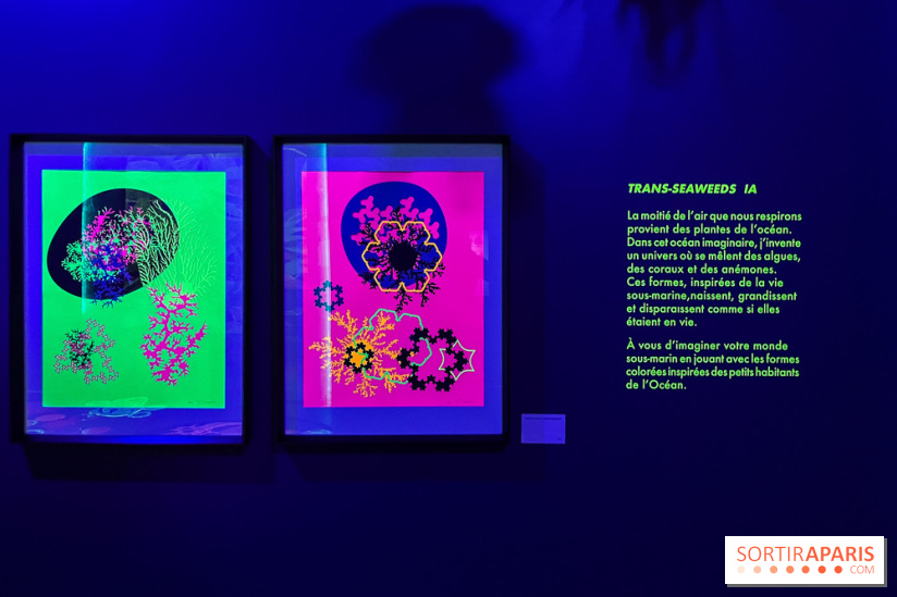 Digital Abysses au musée en Herbe - nos photos - 8163347A 53DC 4CE8 8C09 D2AA6F7C6E47