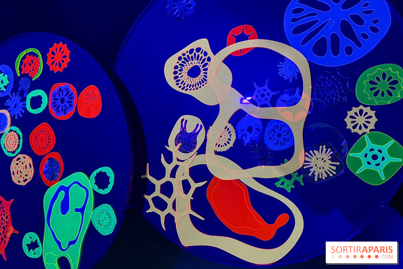 Digital Abysses au musée en Herbe - nos photos - 23C050E1 29AD 4602 97AF 05F2D4696EF9