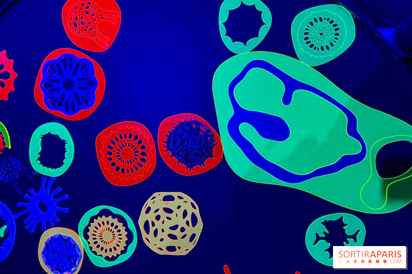 Digital Abysses au musée en Herbe - nos photos - 056D5F24 C1E2 4933 9C8D 9156D9EBD5EC