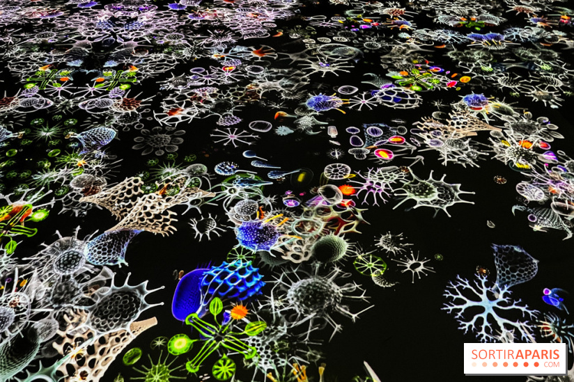 Digital Abysses au musée en Herbe - nos photos - 7E0115A3 377F 4561 B085 EA5755EE7777