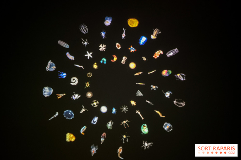 Digital Abysses au musée en Herbe - nos photos - 9ECF3129 95DF 4C74 9051 704E8027F710