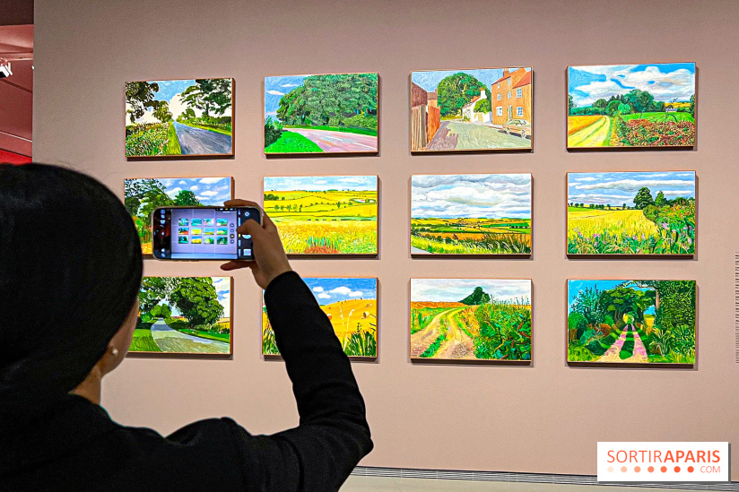 David Hockney : la plus grande exposition retrospective de l'artiste à la Fondation Louis Vuitton - IMG 8488 jpg