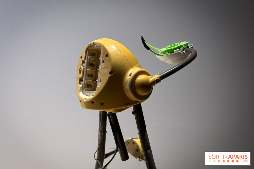 100% L'EXPO 2025 - IMG 2872