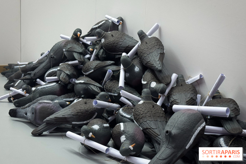 100% L'EXPO 2025 - IMG 2878