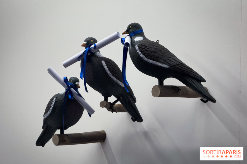 100% L'EXPO 2025 - IMG 2879