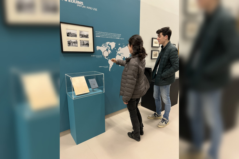 Des chevaux et des hommes au musée de la Grande Guerre de Meaux - IMG 1628