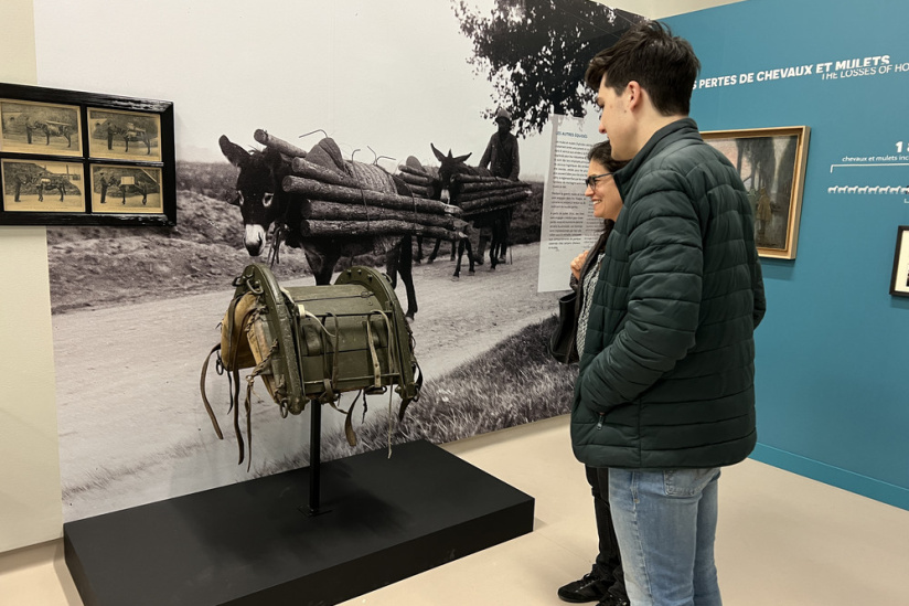 Des chevaux et des hommes au musée de la Grande Guerre de Meaux - IMG 1618