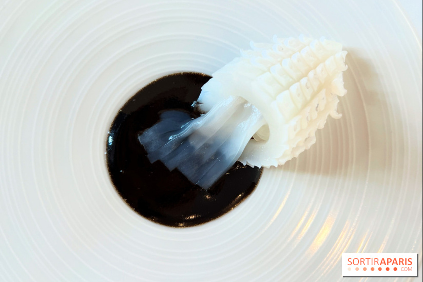 Le Pergolèse - Encornet, encre de seiche