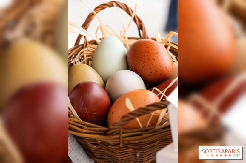 Les chocolats de Pâques 2025 de Pleincœur par Maxime Frédéric et family