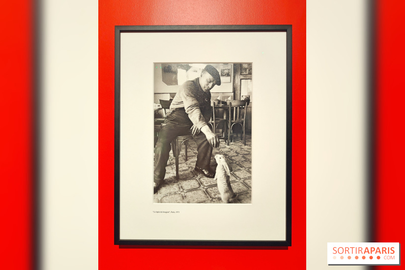 Robert Doisneau - Instants donnés : l'exposition photo se dévoile au musée Maillol - fotor 1744812631659