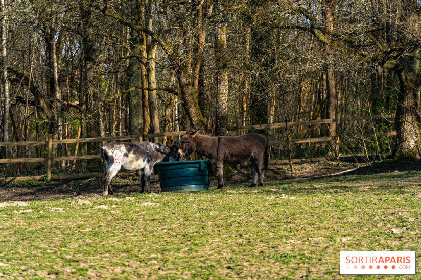 La Ferme de l’Abbaye des Vaux de Cernay : l'hôtel de charme en pleine nature dans les Yvelines - photos