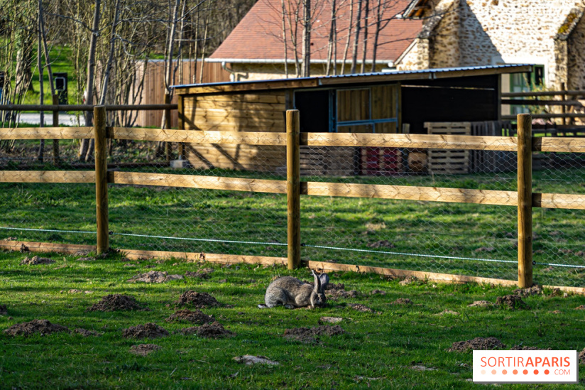 La Ferme de l’Abbaye des Vaux de Cernay : l'hôtel de charme en pleine nature dans les Yvelines - photos