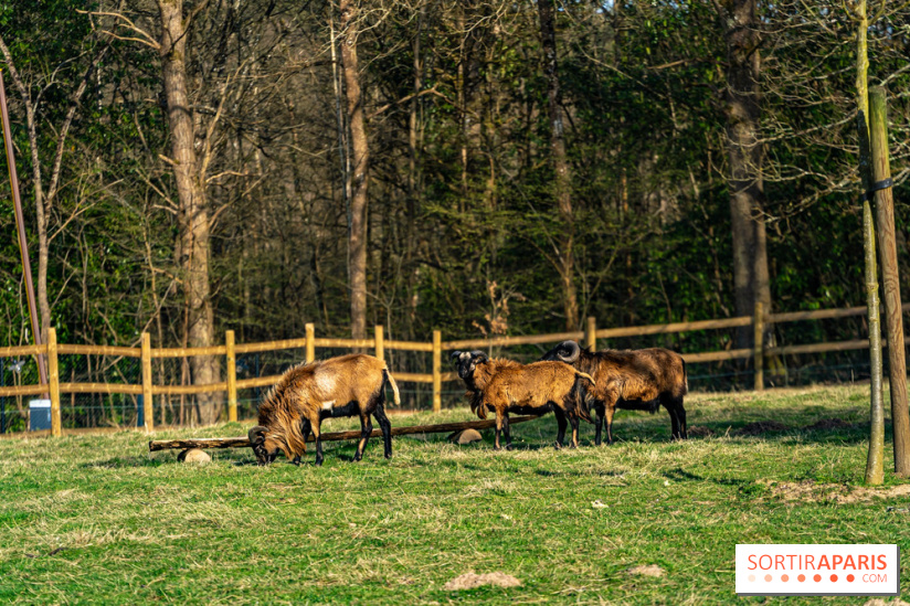 La Ferme de l’Abbaye des Vaux de Cernay : l'hôtel de charme en pleine nature dans les Yvelines - photos