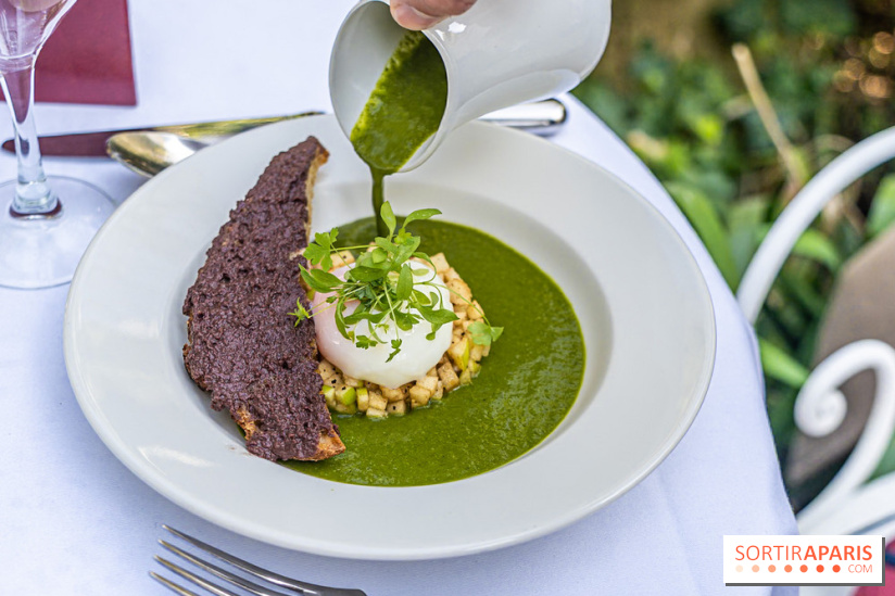 Terrasse de l'Hôtel Particulier, le jardin verdoyant au cœur de Montmartre - photo - A7C06420