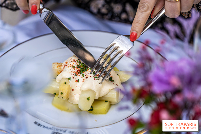 Terrasse de l'Hôtel Particulier, le jardin verdoyant au cœur de Montmartre - photo - A7C06425