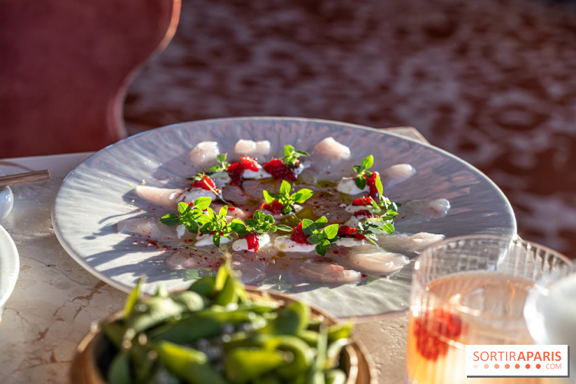 Kinugawa Rive Gauche à Paris, le restaurant en rooftop de l'Hôtel Sax - photos