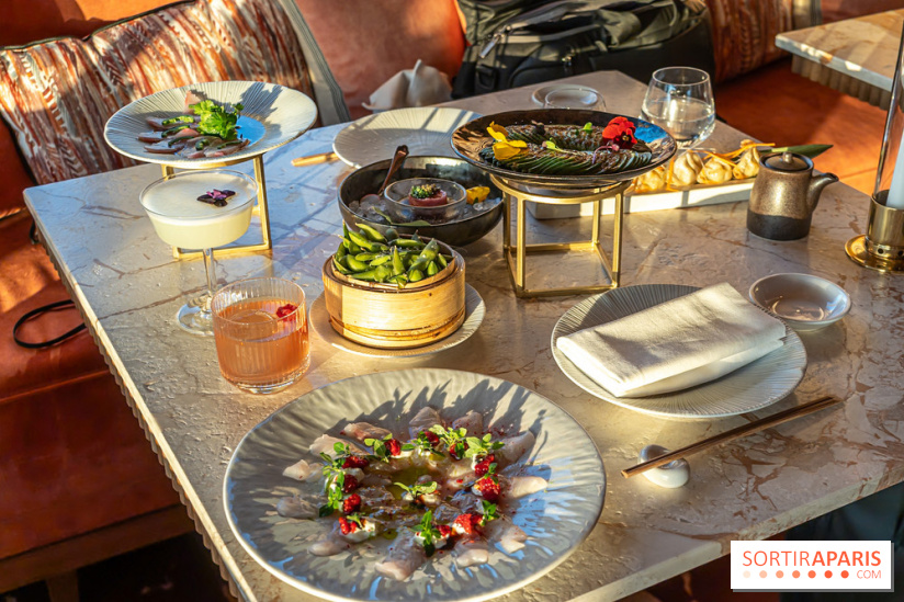 Kinugawa Rive Gauche à Paris, le restaurant en rooftop de l'Hôtel Sax - photos
