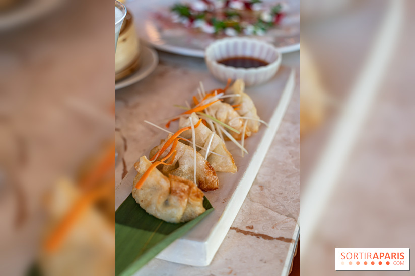 Kinugawa Rive Gauche à Paris, le restaurant en rooftop de l'Hôtel Sax - photos