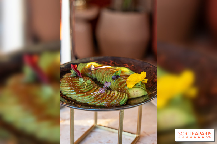 Kinugawa Rive Gauche à Paris, le restaurant en rooftop de l'Hôtel Sax - photos