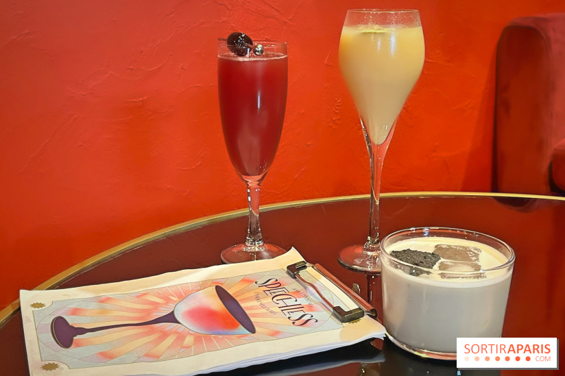 Speechless, le bar à cocktail à la programmation animée dans le 12e arrondissement de Paris - IMG 9758
