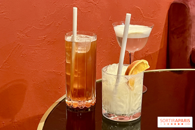 Speechless, le bar à cocktail à la programmation animée dans le 12e arrondissement de Paris - IMG 9742